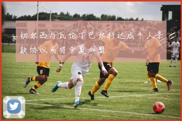 切尔西与瓦伦丁巴尔科达成个人条款协议或将今夏加盟
