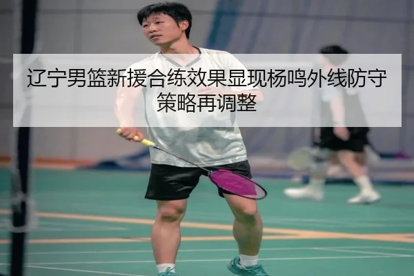 辽宁男篮新援合练效果显现杨鸣外线防守策略再调整